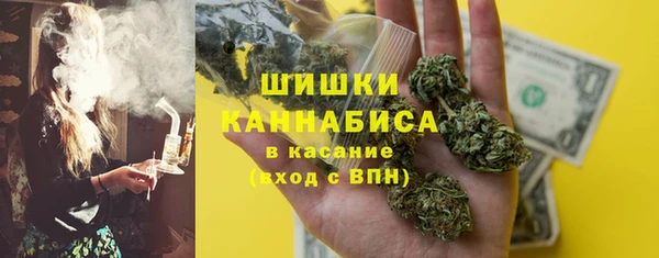 молекула духа Нягань