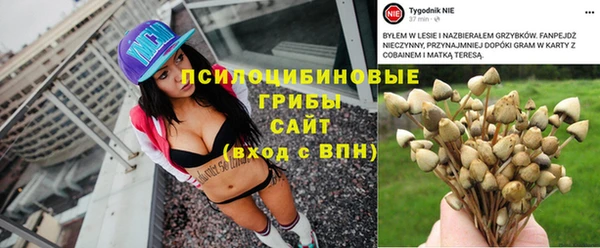 2c-b Билибино