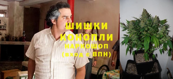 молекула духа Нягань