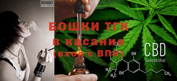 молекула духа Нягань