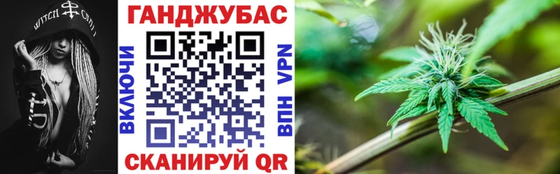 Бошки Шишки сатива  ссылка на мегу сайт  Судогда  купить наркоту 